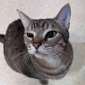 Meet your Posher, Kathleen